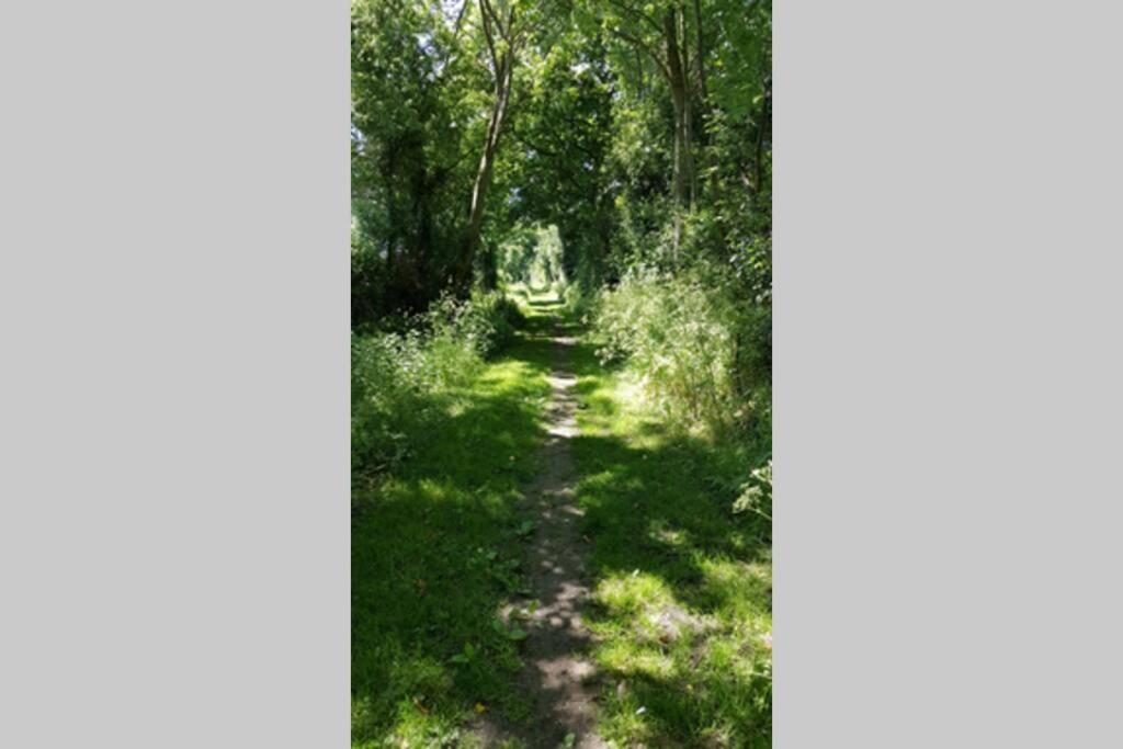 Gite Du Bocage Buysscheure Esterno foto