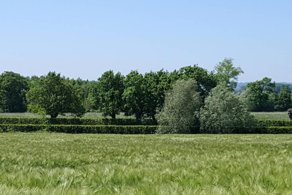 Gite Du Bocage Buysscheure Esterno foto