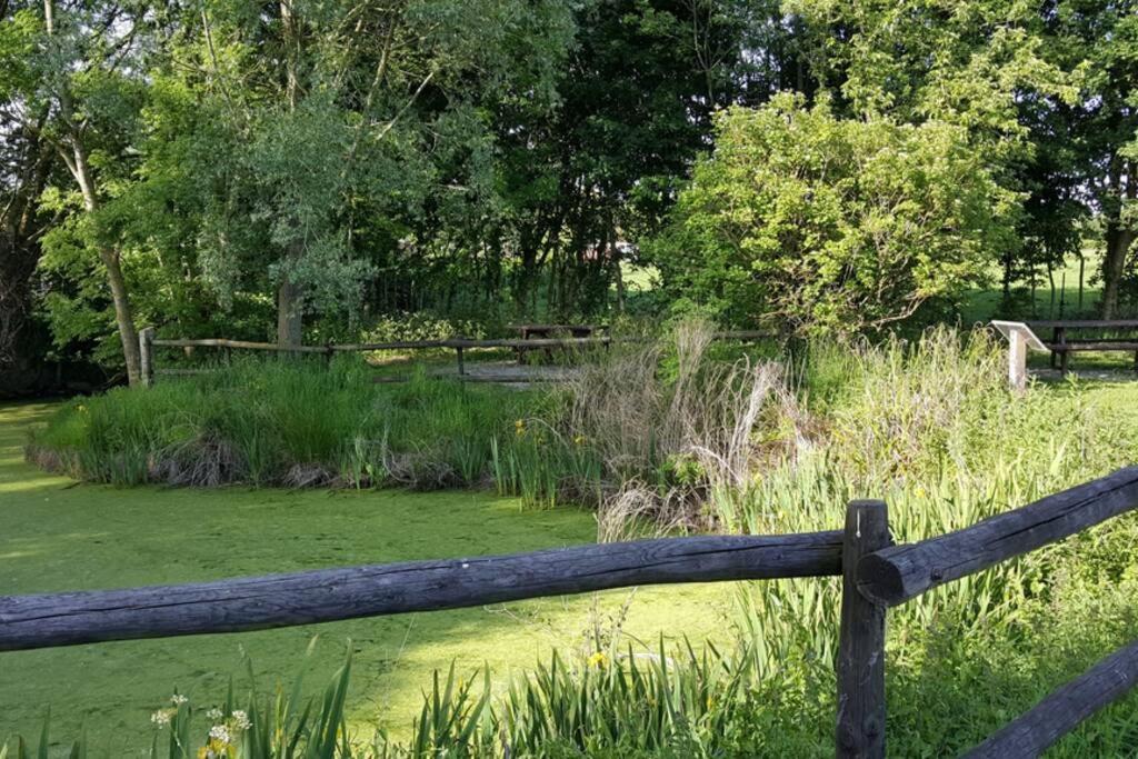 Gite Du Bocage Buysscheure Esterno foto